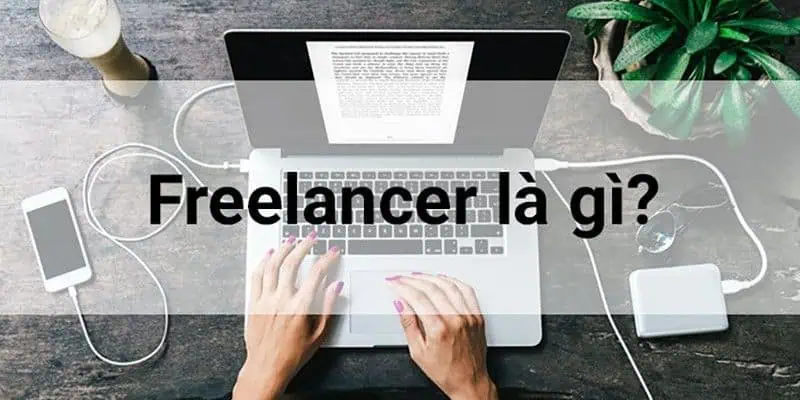 Thông tin quan trọng về freelancer là gì?